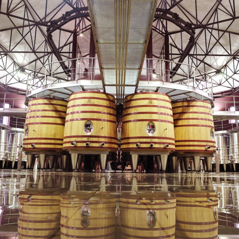 Vignobles Malartic, une passion mise en image