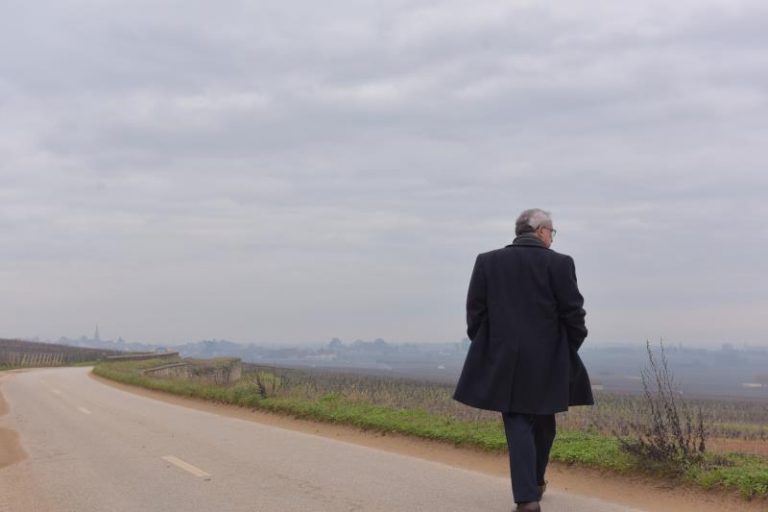 2019 sera-t-il un bon millésime ?