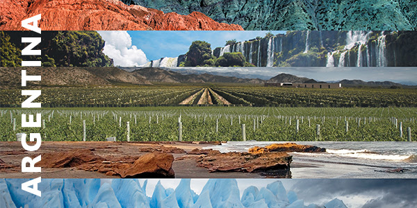 Carnet de voyage : l’Argentine viticole
