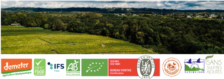 Bordeaux Vineam, l’exigence du bio et de la transparence
