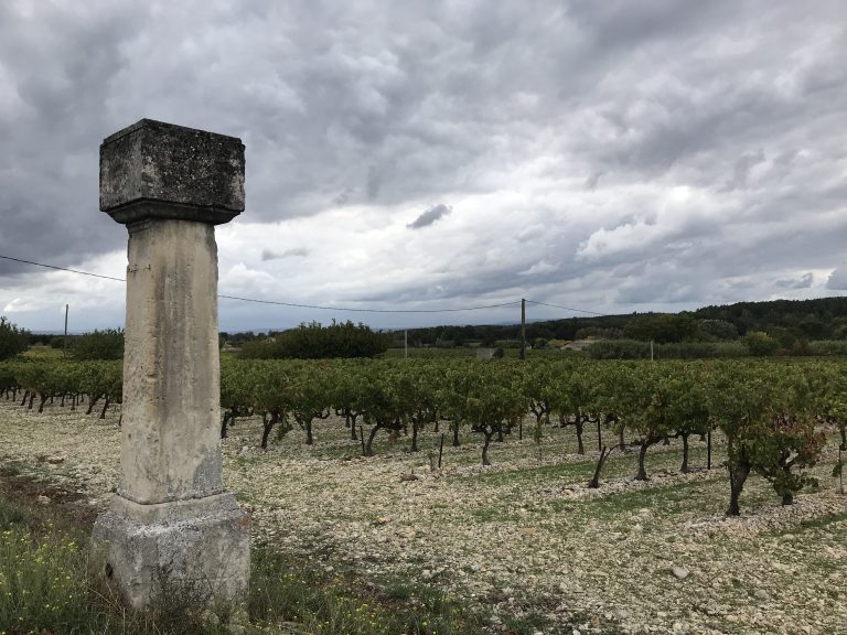 Après le côtes-de-provence, Valérie Rousselle se lance dans le côtes-du-rhône