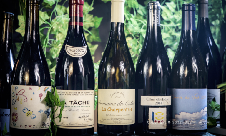 Vin nature : vente aux enchères d’une collection particulière