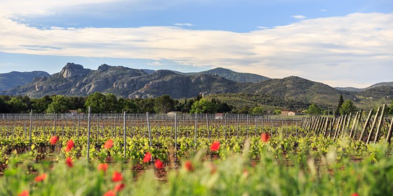 La Provence encore plus bio