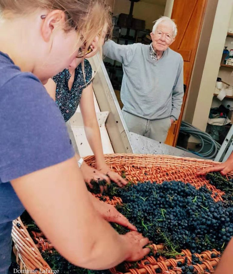 La mort de Michel Lafarge, grand vigneron de Bourgogne
