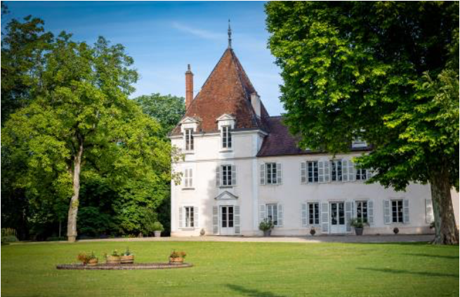 Bourgogne : chez Albert Bichot, 2020 sera l’année du bio