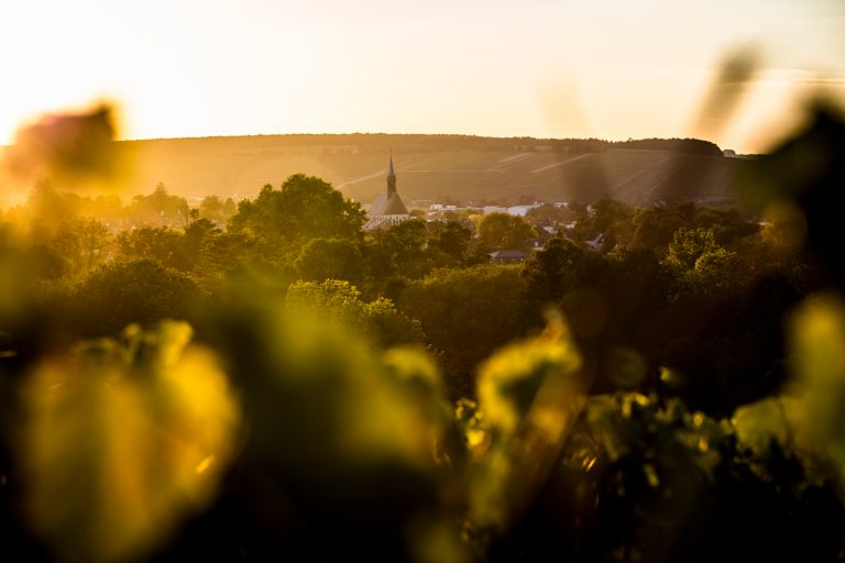 La confusion règne en Bourgogne