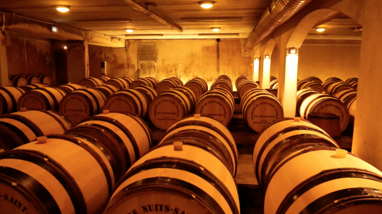 La 59e vente des vins des Hospices de Nuits-Saint-Georges