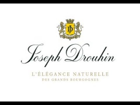 Entre la maison Drouhin et la Bourgogne, une longue passion mise en image