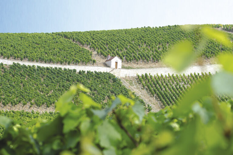 Les grands de Bourgogne à moins de 30 euros