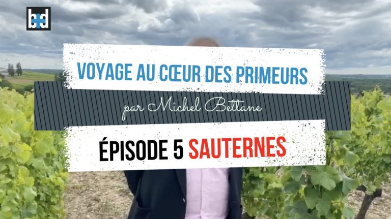 Voyage au cœur des Primeurs : épisode 5, Sauternes