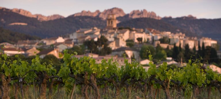 Six côtes-du-rhône villages à moins de 16 euros