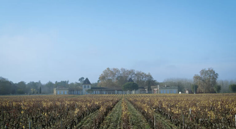 Les crus bourgeois, épisode 2