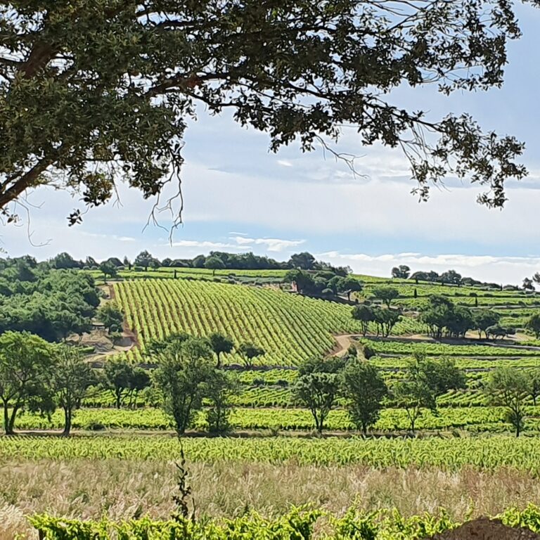 Bordeaux-Provence, rachat du Château La Mascaronne
