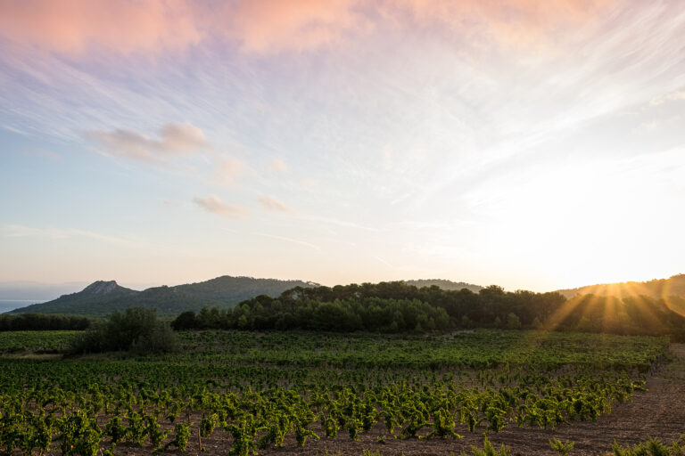 Domaine de l’Ile, une perle à Porquerolles