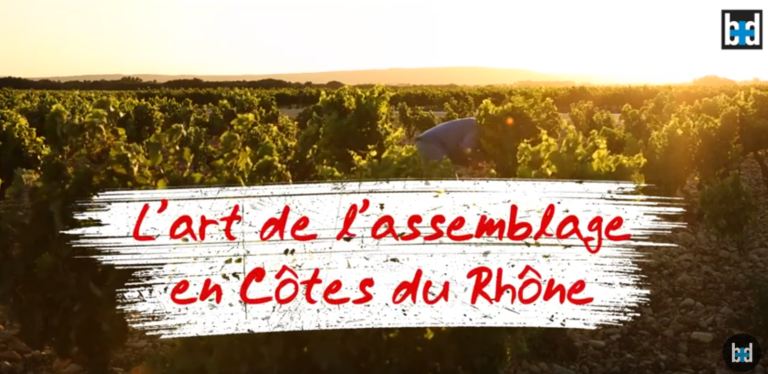 L’art de l’assemblage en côtes-du-rhône