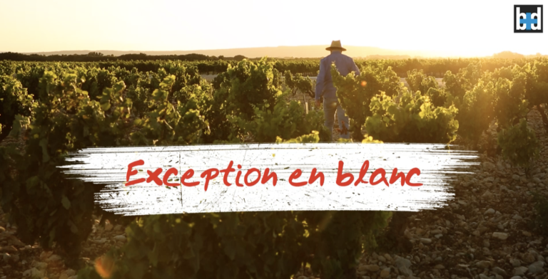 Exception en blanc