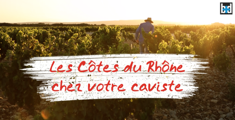 Les côtes-du-rhône chez votre caviste