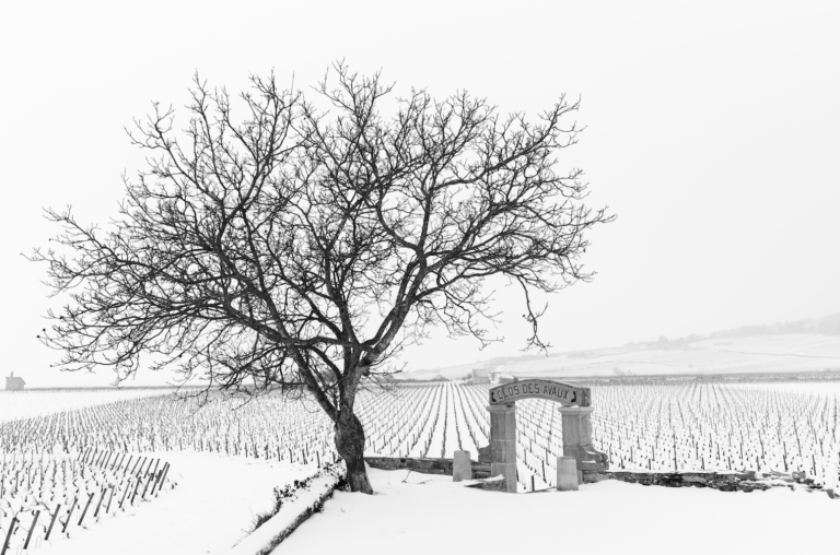 Le grand vin en  deux services