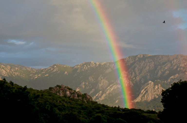 La Corse dans la lumière