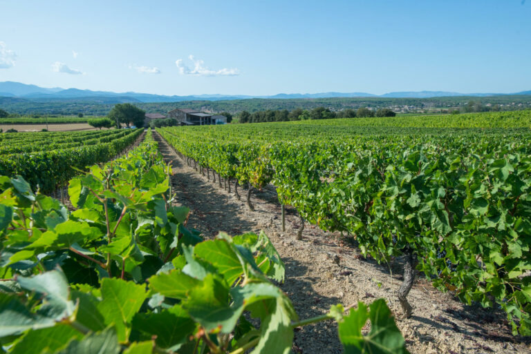 Un nouveau domaine éthique et solidaire
