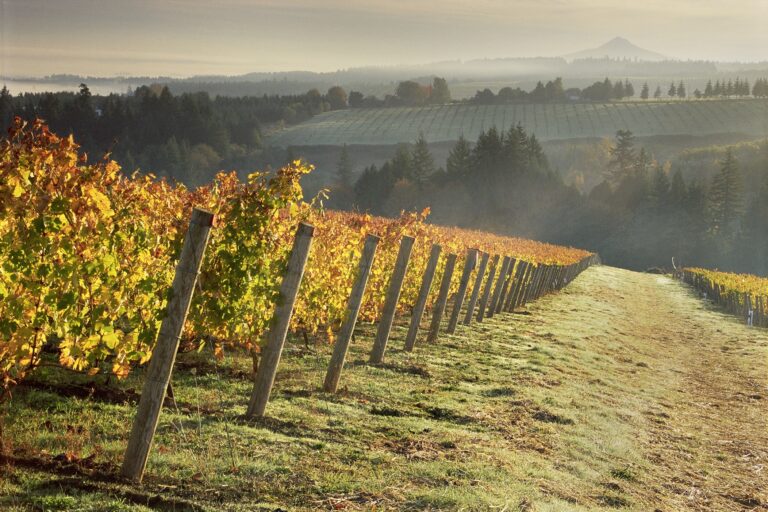 Bollinger rejoint les Bourguignons en Oregon