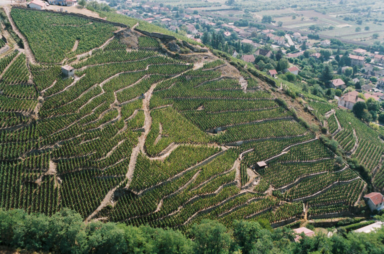 Le Rhône nord : treize étapes très tendance