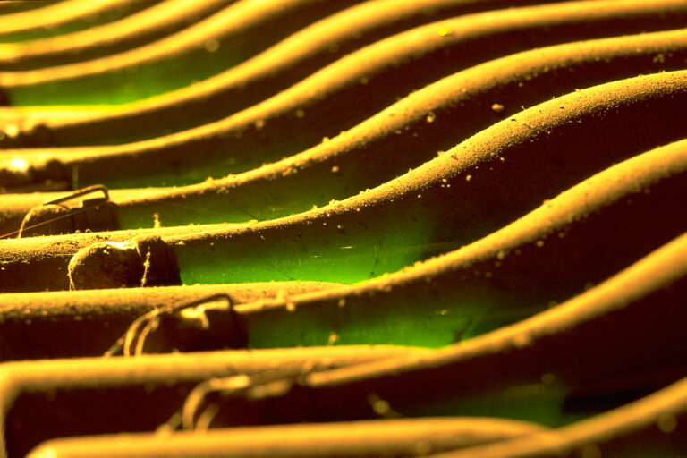 Les 20 champagnes de ma vie