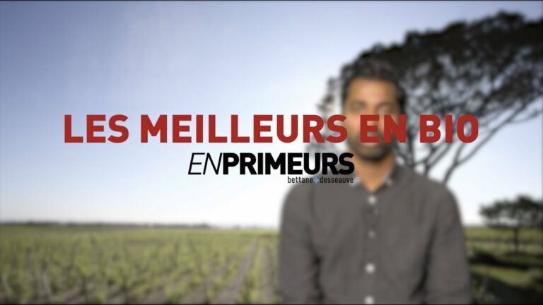 En primeurs 2021 (épisode 5/12) : les meilleurs bio