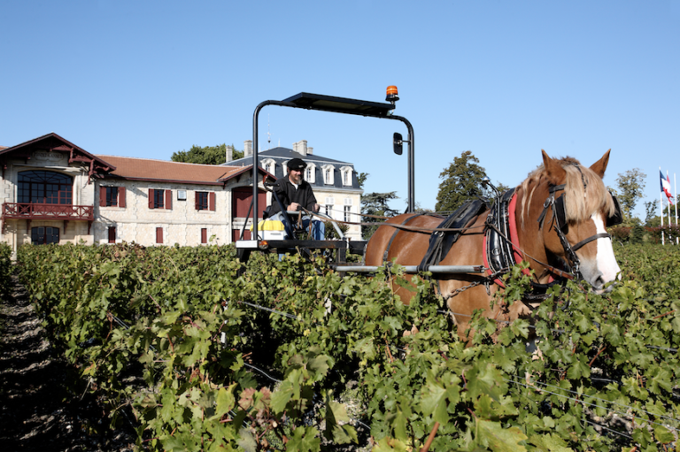 Mon vin, ta planète, notre éthique