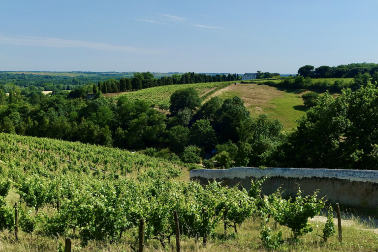 Savennières entre les murs