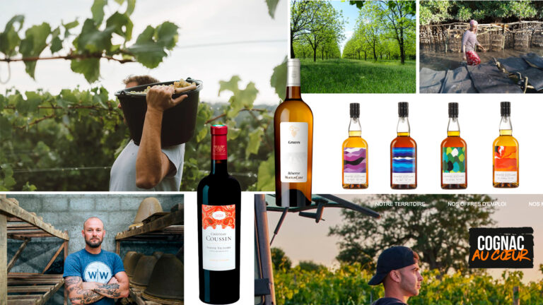 Le mondovino de la semaine #208 tourne à fond