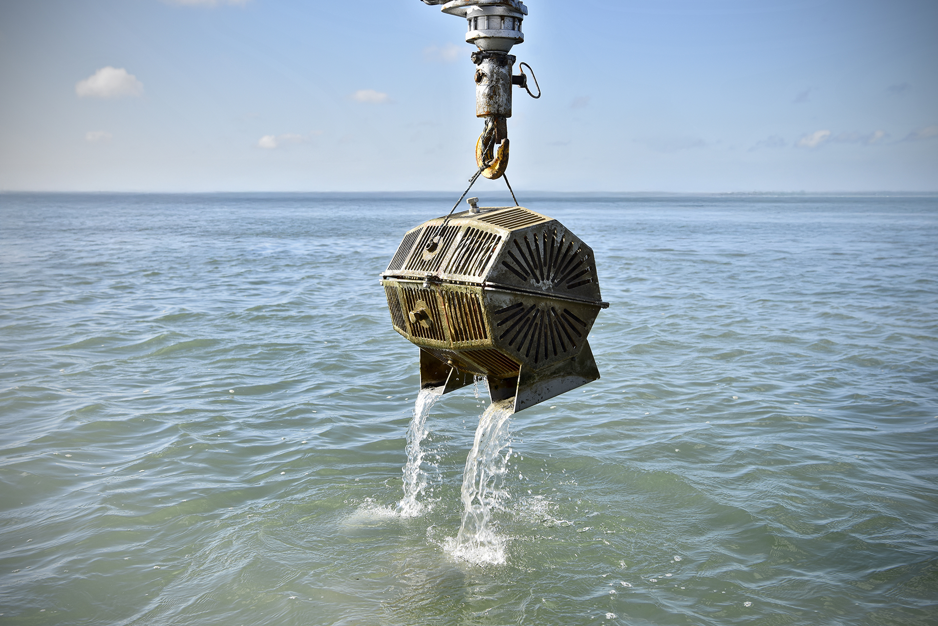 Les eaux-de-vie ont été immergées dans l’océan Atlantique, au large de l’île de Ré.