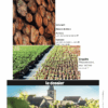 En Magnum #41 – Image 4