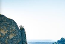 Beaume-de-Venise, nouvelle ère Beaume de Venise