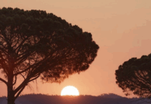 Château Cavalier, une autre idée de la Provence château Cavalier