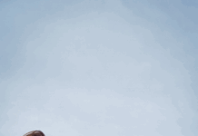 EPC, la liberté comme feuille de route