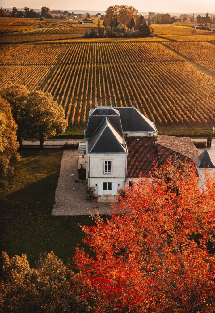 château Grand Corbin