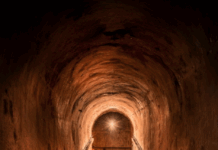 Champagne, les marches du succès