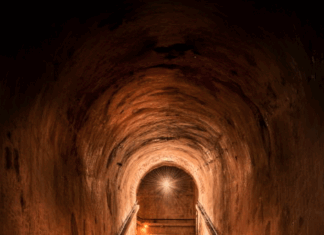 Champagne, les marches du succès
