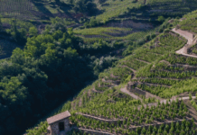 Le lieu, mythe ou réalité ?