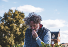 Château Lascombes, régénérer une vision