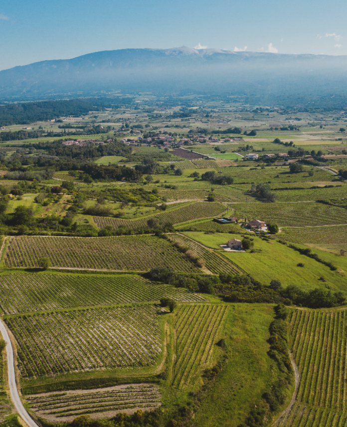 Ventoux