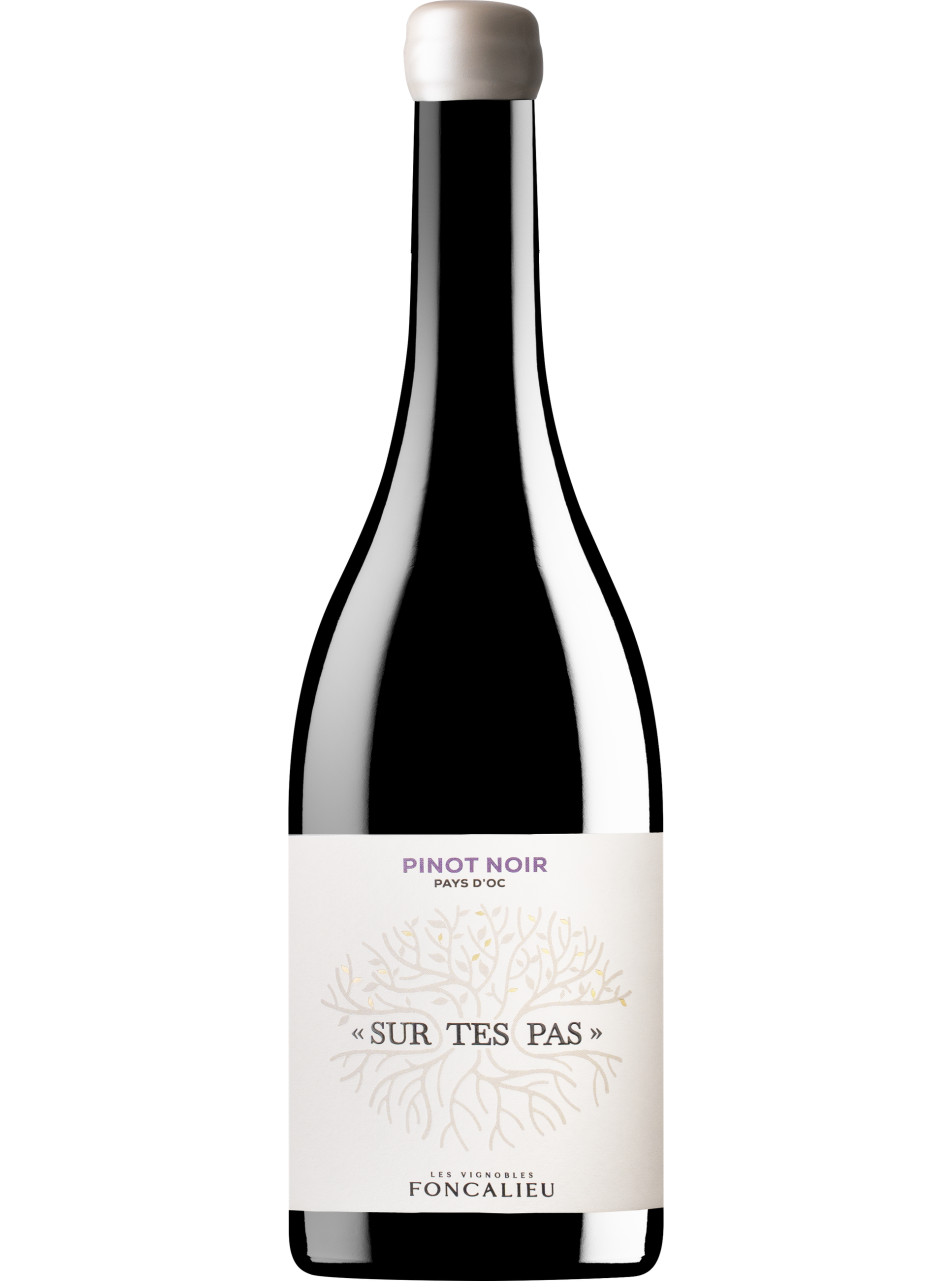 13_-_Les_Vignobles_Foncalieu__Sur_Tes_Pas_2025__IGP_pays_d_oc
