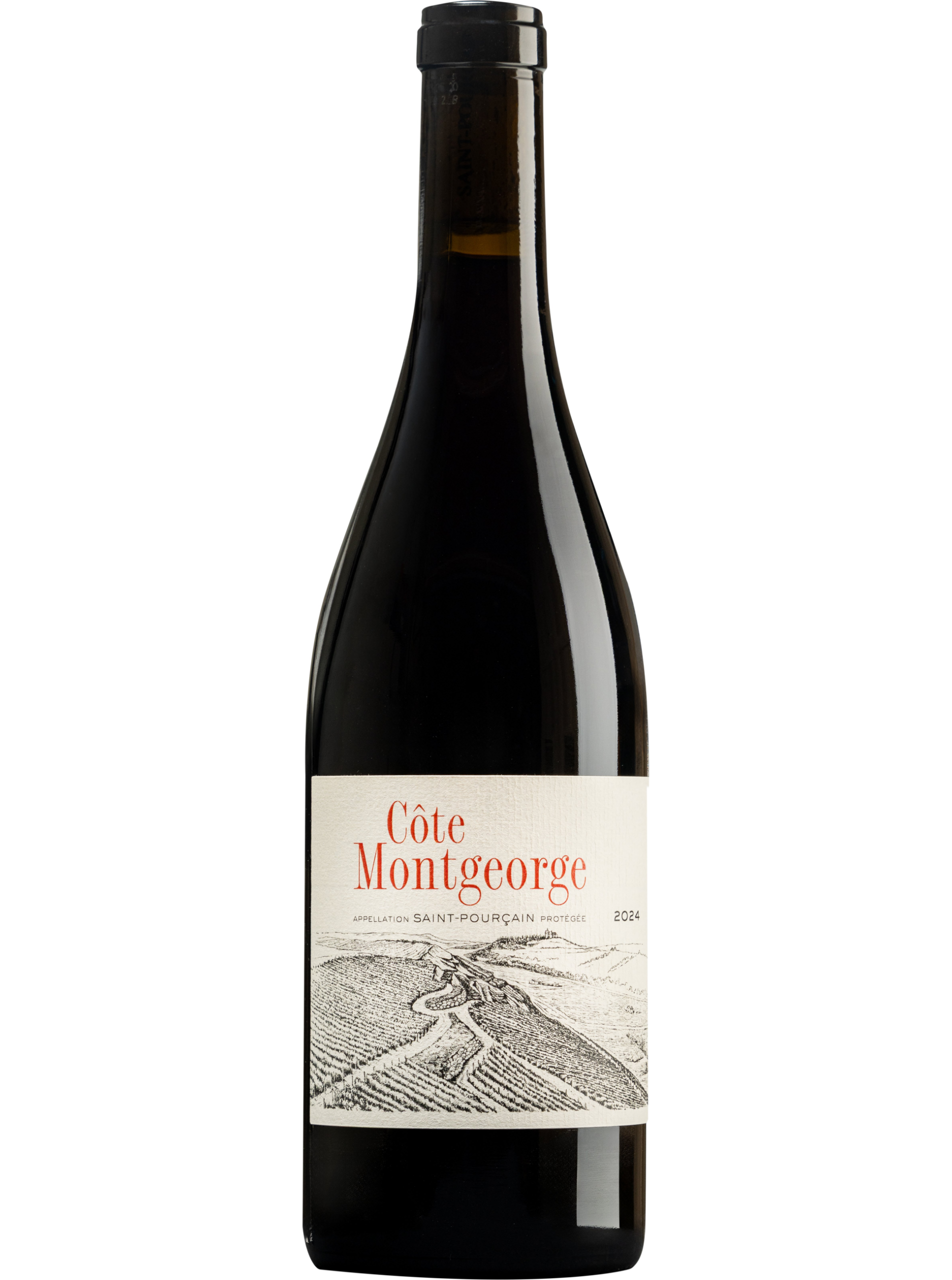 18_-_Domaine_Barbara_Grosbot__Co_te_Montgeorge_2024__saint-pourcain