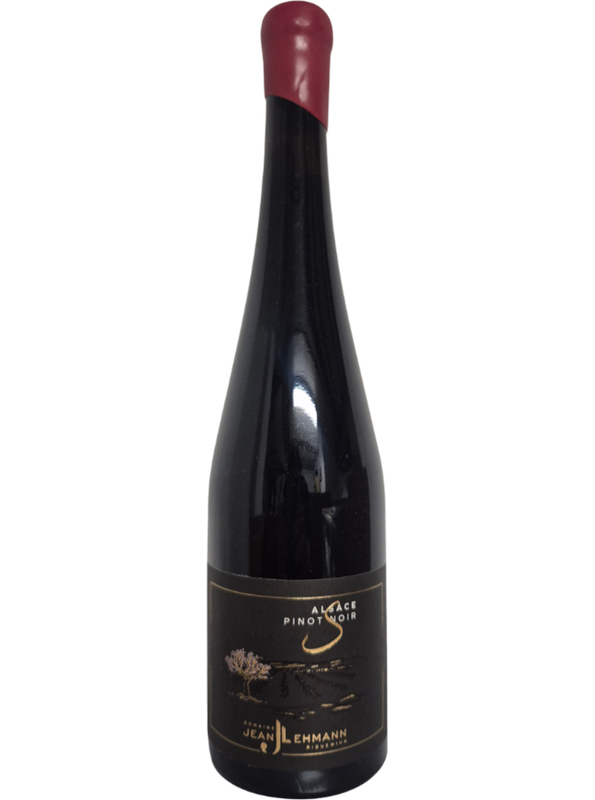 Domaine_Jean_Lehmann__Pinot_noir_S_2024__alsace