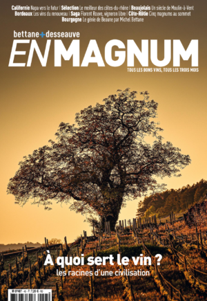 En Magnum #45