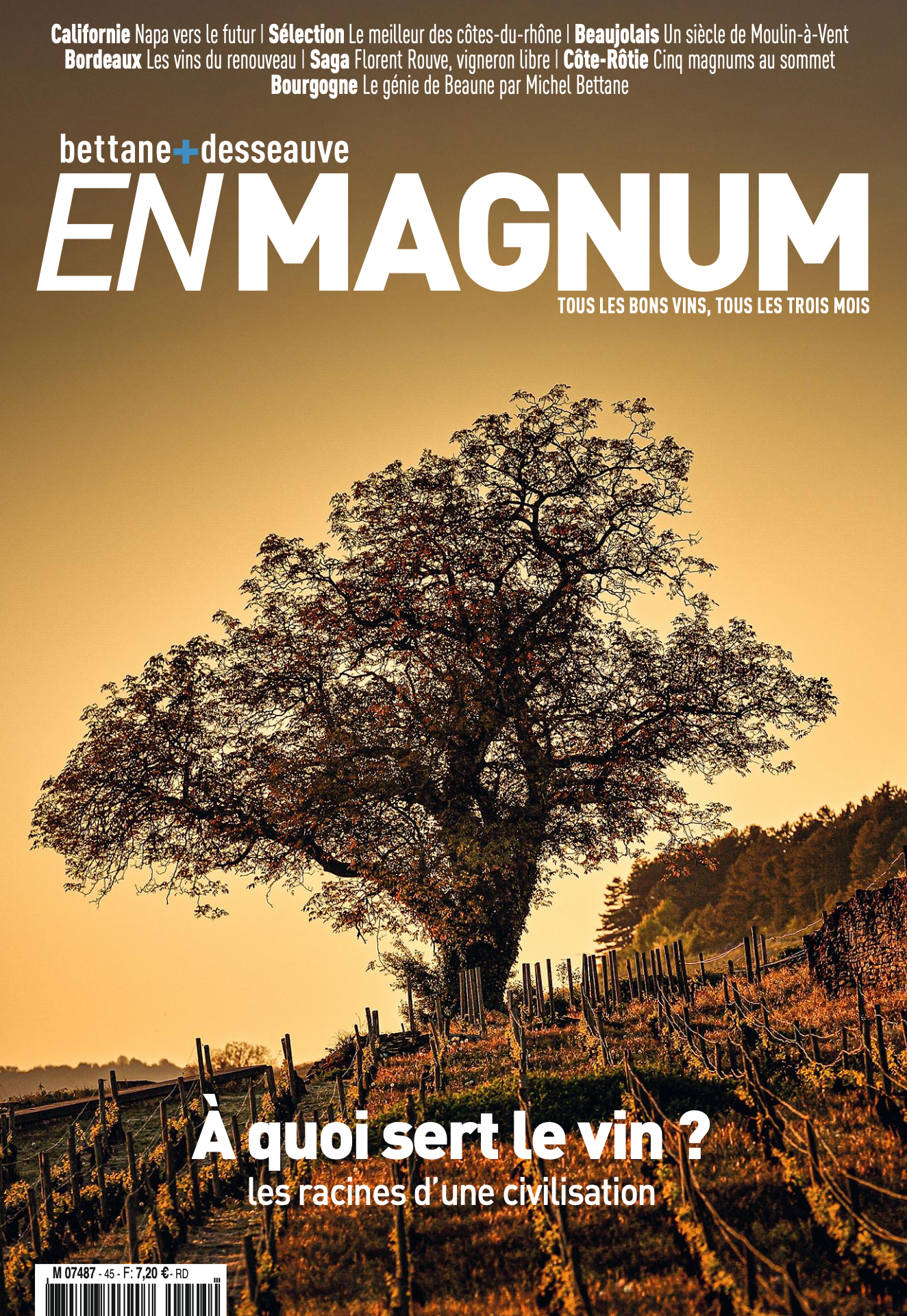 En Magnum #45