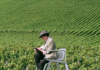 Taittinger, le vignoble pour horizon