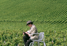 Taittinger, le vignoble pour horizon