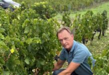 Château Branas Grand Poujeaux : Arjen Pen, changement d’altitude